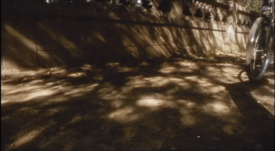 烈日下斑驳的树影,自行车钢圈上闪耀的光斑,无所事事的少年,这便是