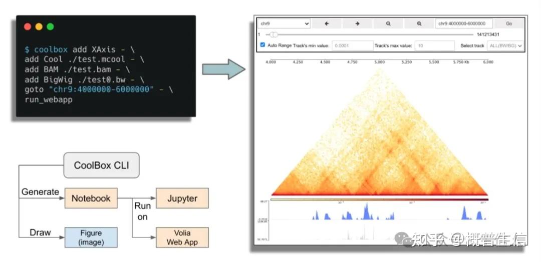 Hi-C数据的可视化工具汇总 - 知乎