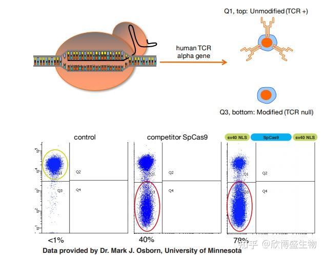aldevron高品质crisprcas9核酸酶