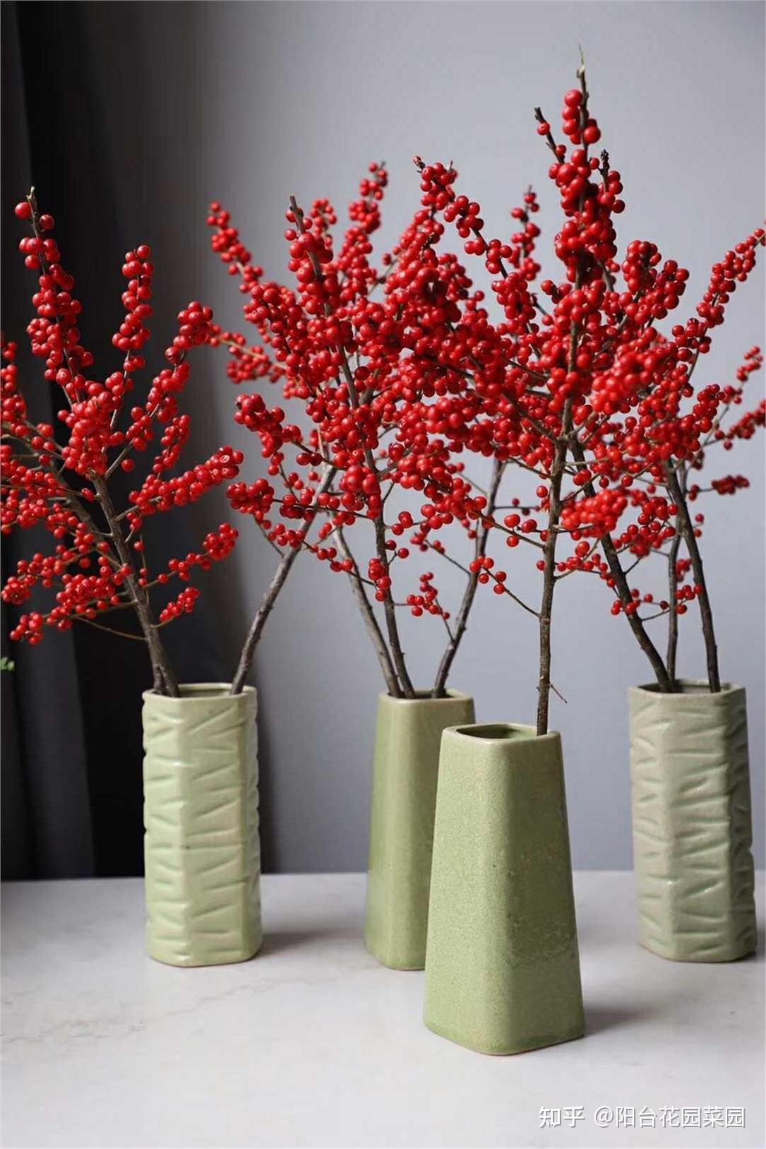 8种“昂贵花”,工薪族“舍不得”买,但是太好看,有钱要买个遍-比较贵的花材是什么花