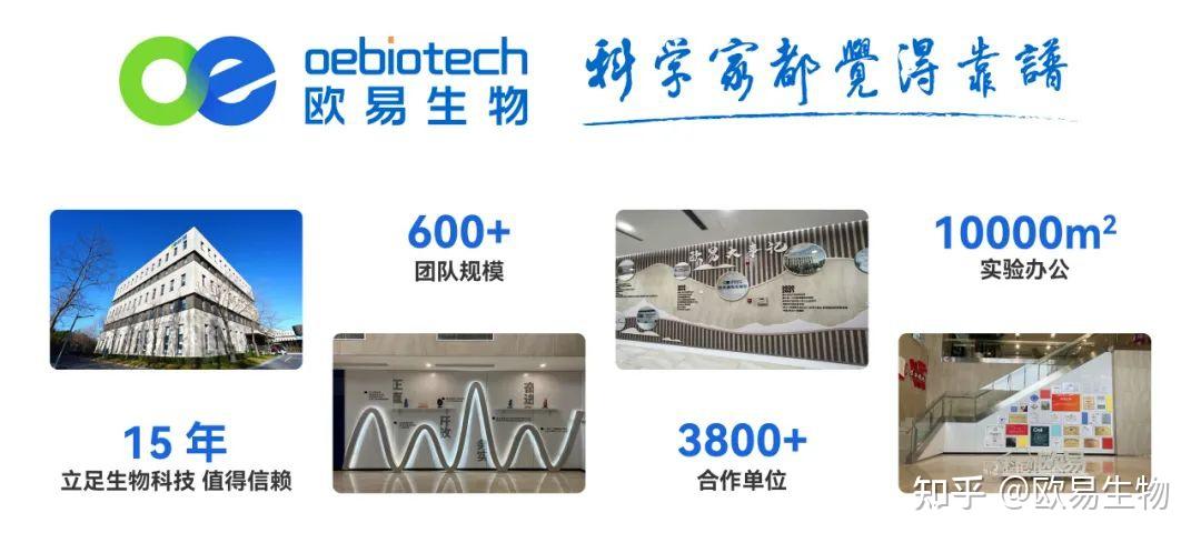 Cell | 杜久林课题组首次揭示神经活动调控淋巴系统发育的机制 - 知乎