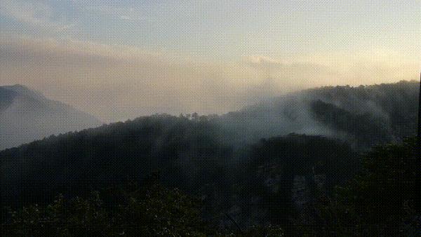 动图封面