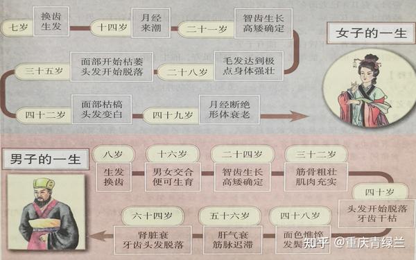 长寿者养生秘诀 - 知乎
