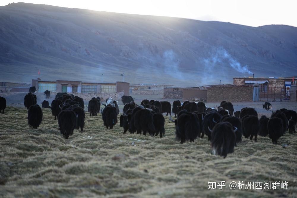 班戈去保吉乡的路上格仁错格仁错s203s203格仁错格仁错,申扎好感人的