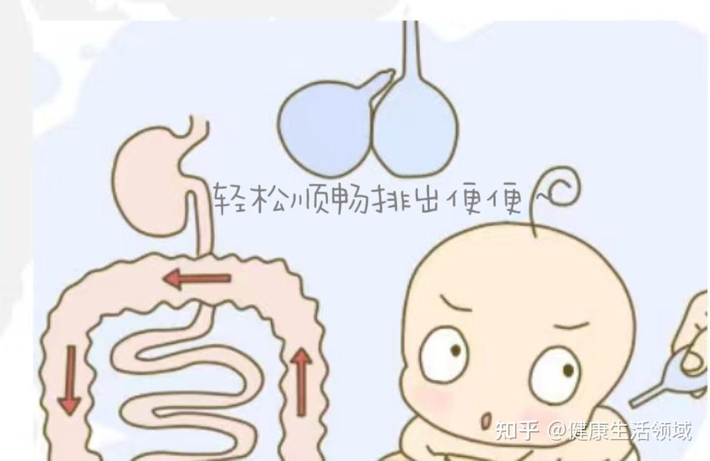 隐藏在大便中的“秘密”~观大便而知健康! - 知乎