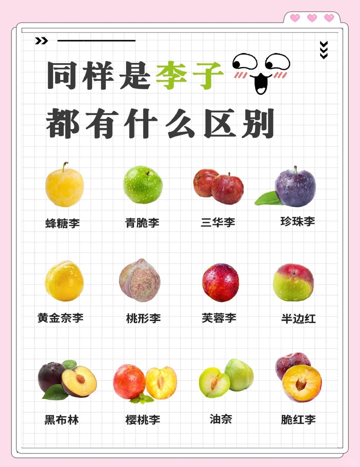 食世造化】李子- 知乎