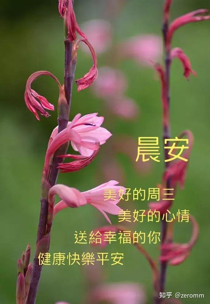 早安励志问候祝福语温馨句子， …