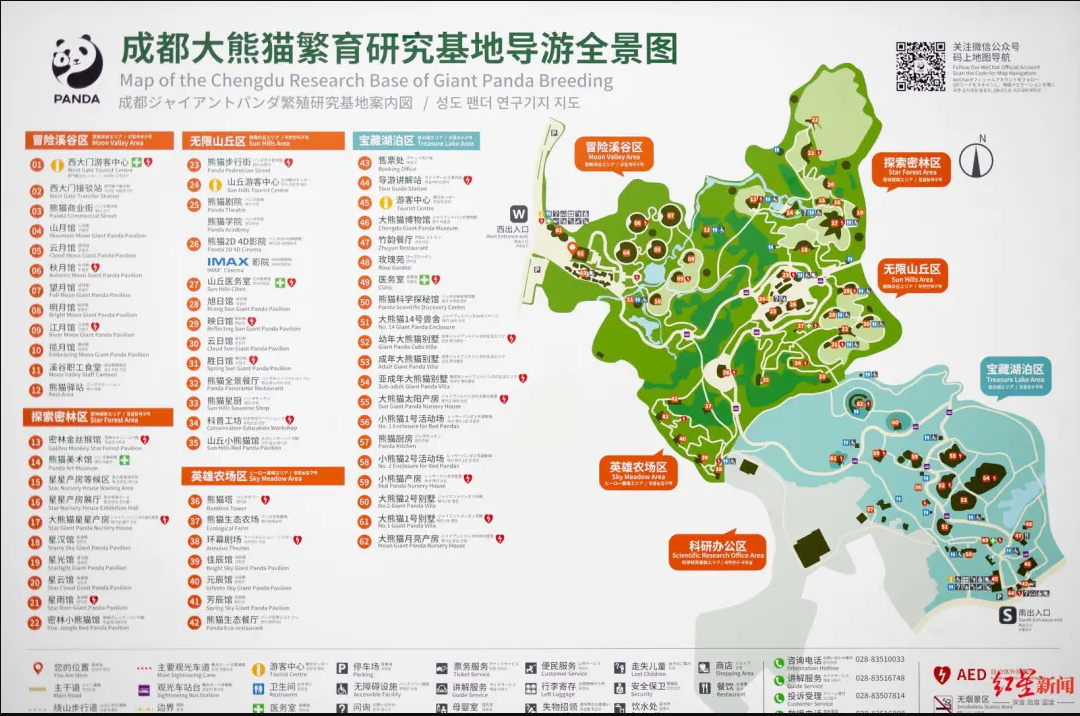 官宣元旦后可地铁直达成都熊猫基地游玩了