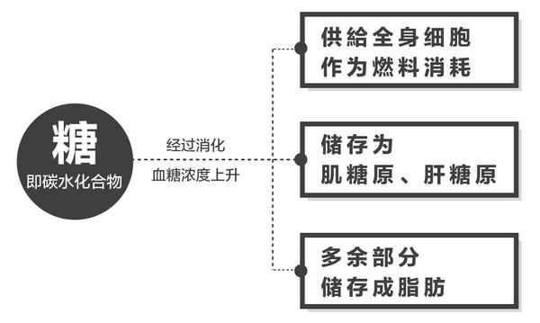 減脂必修課三減肥路上的蒙面殺手碳水化合物