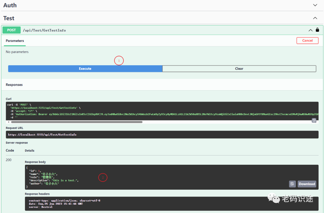 Asp net core web api token 