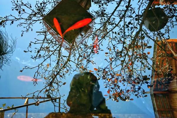 在昆明一个人一天去哪玩比较好?