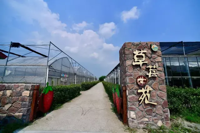 蔬果园烘焙diy ,烧烤串串草莓品鉴,草莓采摘草莓学苑生态园是郊野里不