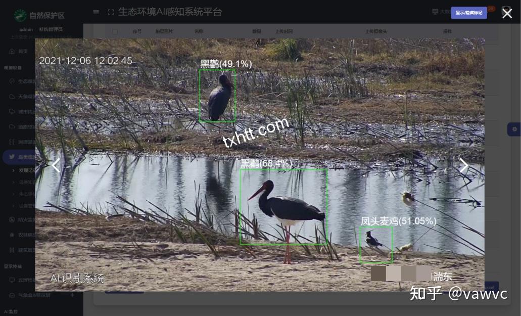 嵌入ai人工智能深度学习算法,导入十万鸟类照片模