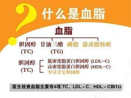 血脂怎么调整 v2-2c2e48d5066883107e3a8c6669e5e0e9_1440w.jpg