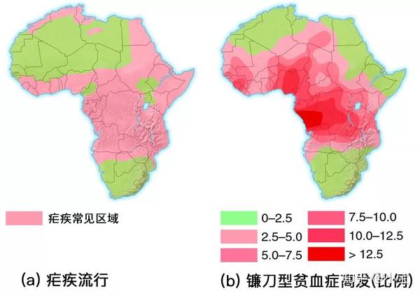 《生命科学系列》—— 进化:生命的主人 - 知乎