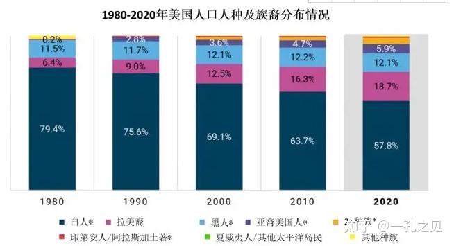 美国白人比例图片