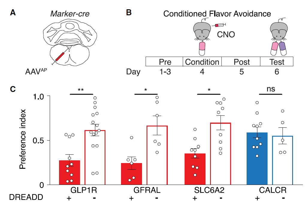 stalling(stalling on) stalling(stalling on)