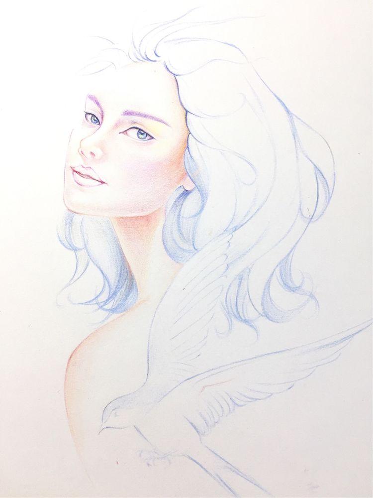 傲娇的小姑娘小鸟伊人彩铅手绘教程