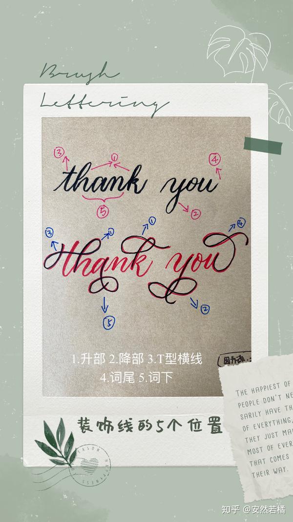 分享自学Brush Lettering 从入门到实践超全超实用干货（含基础字帖） - 知乎