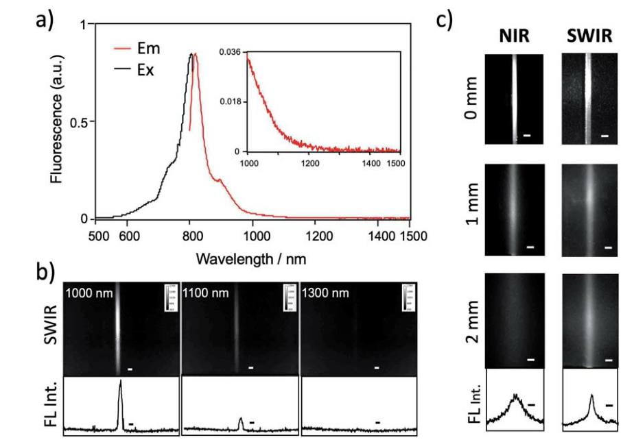 恒光讲堂近红外二区短波红外swir荧光分子成像用于癌症肿瘤的光学诊断