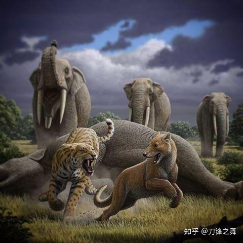 剑齿虎打得过狮子老虎吗?