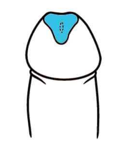 给丁丁戴上帽子关于丁丁礼帽的科普