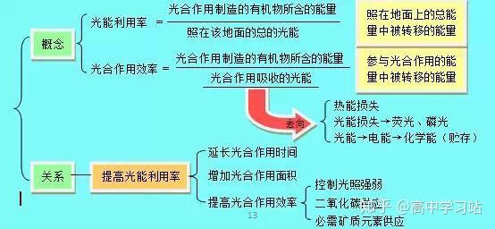 高中生物 学霸笔记知识点大总结 摆脱死记硬背的学习方式 上 知乎