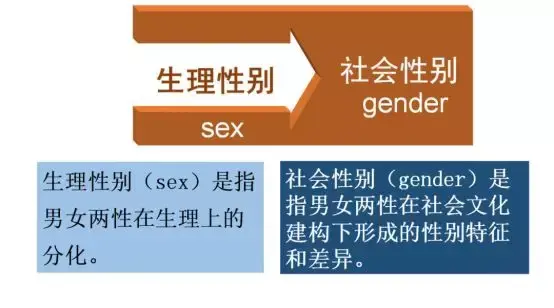 生理性别vs社会性别