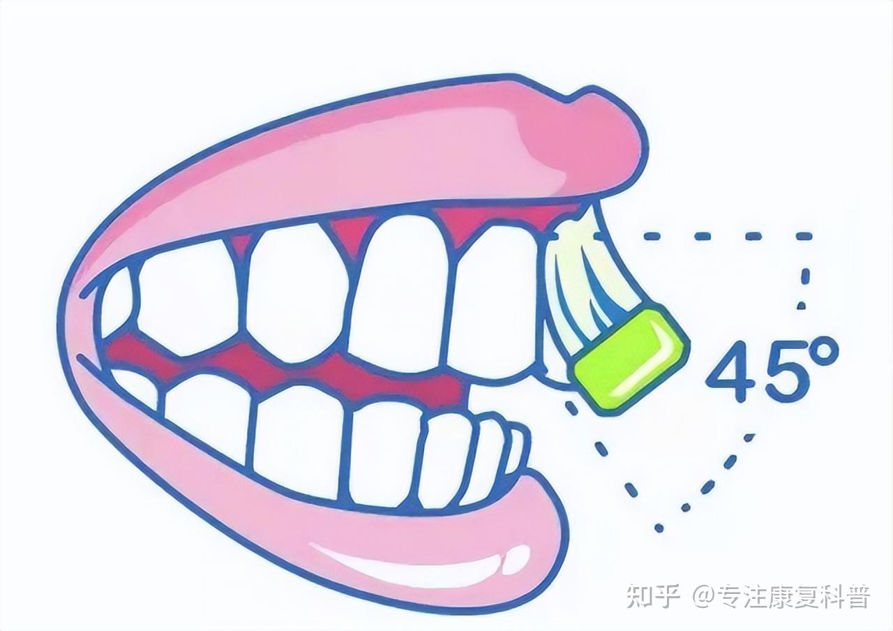 有效的刷牙方法是：用改良“巴氏刷牙法”刷够2分钟 - 知乎