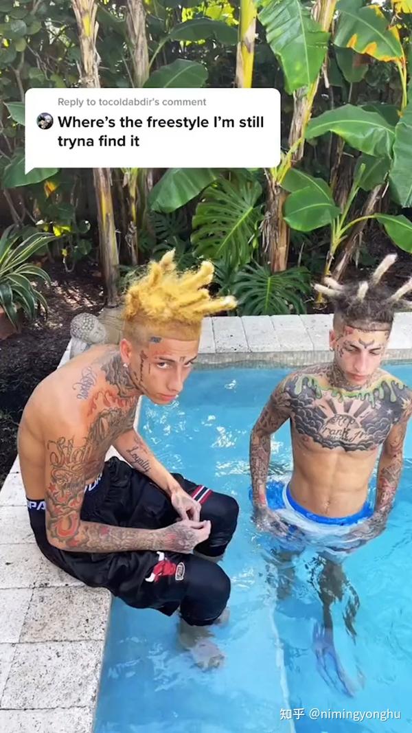 Tiktok Island Boy(s) 什么梗 知乎