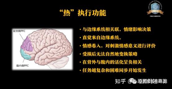 前额叶的故事---控制为核心，与情绪博弈 - 知乎