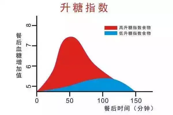 怎么高效率减重 v2-2cc0f8f41cc36060149e4f0054e06b31_r.jpg