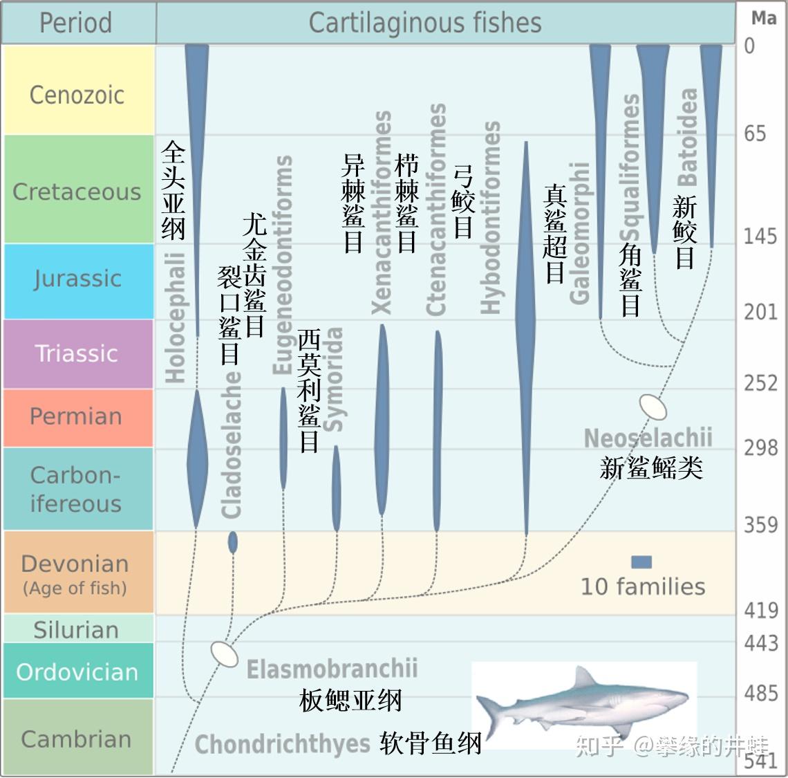 地球演义】鲛腾记4：轮- 知乎