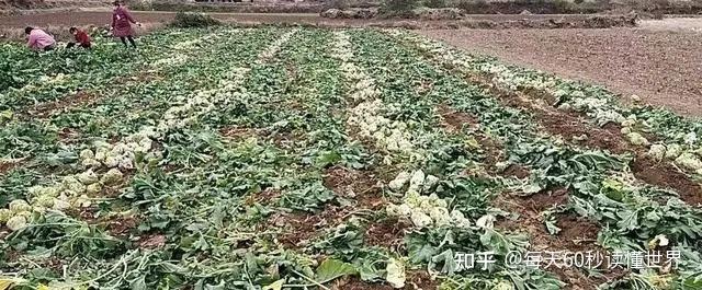 11月25日,星期五,在这里每天60秒读懂世界! 11月25日,星期五,在这里每天60秒读懂世界!