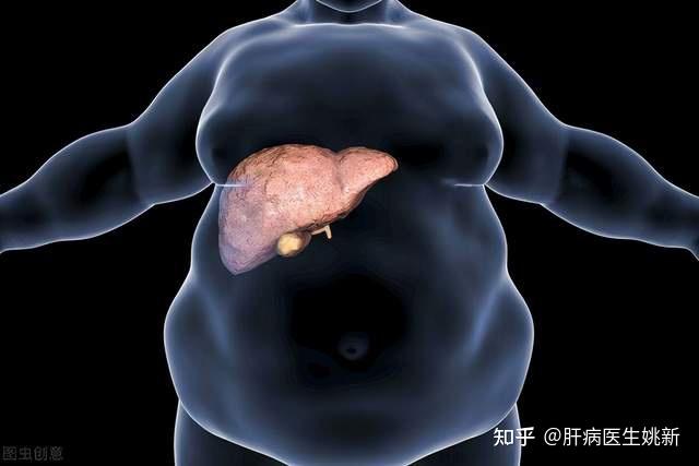 重度脂肪肝的危害图片