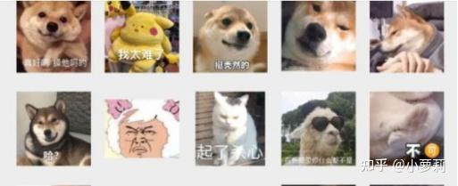 v2-2cf1700a7d4fc845ec9012590dddb74d_r.jpg