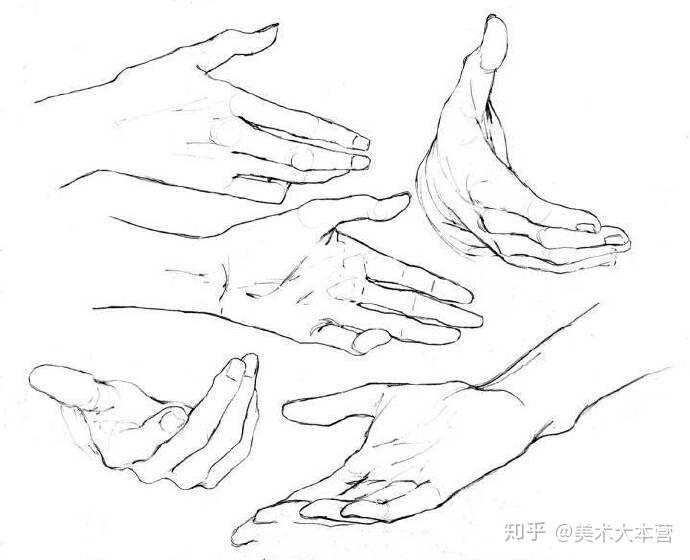 速写手和脚的临摹素材