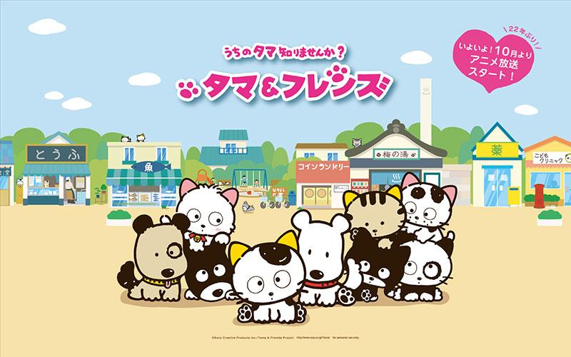 《猫狗宠物街 第 4 季》