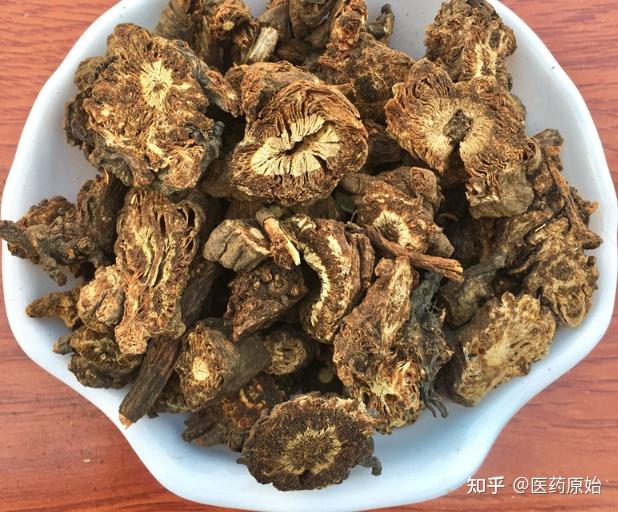 带你识别羌活 - 知乎