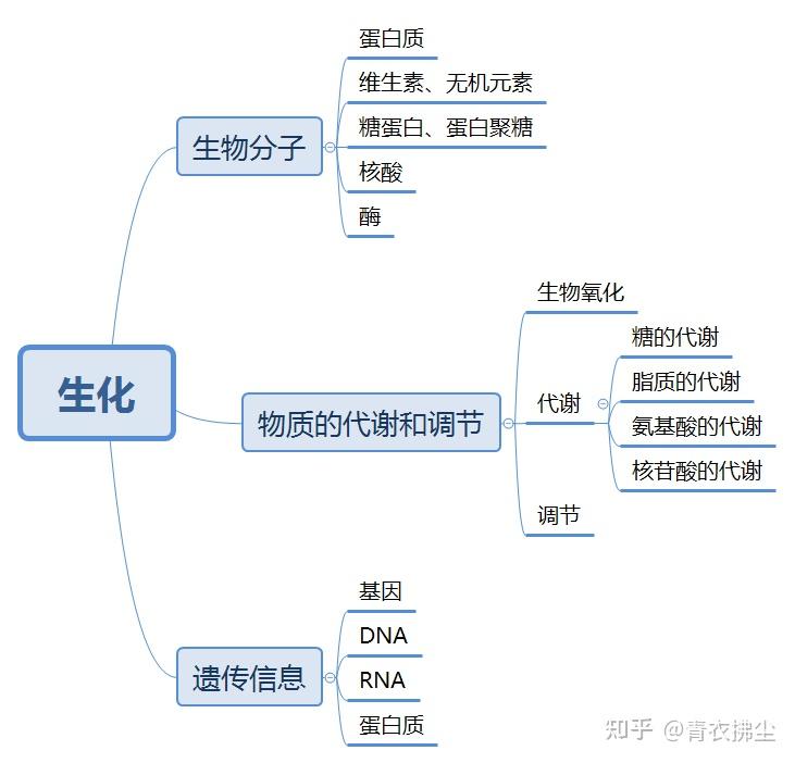 生物化学,一个磨医学生的小妖精