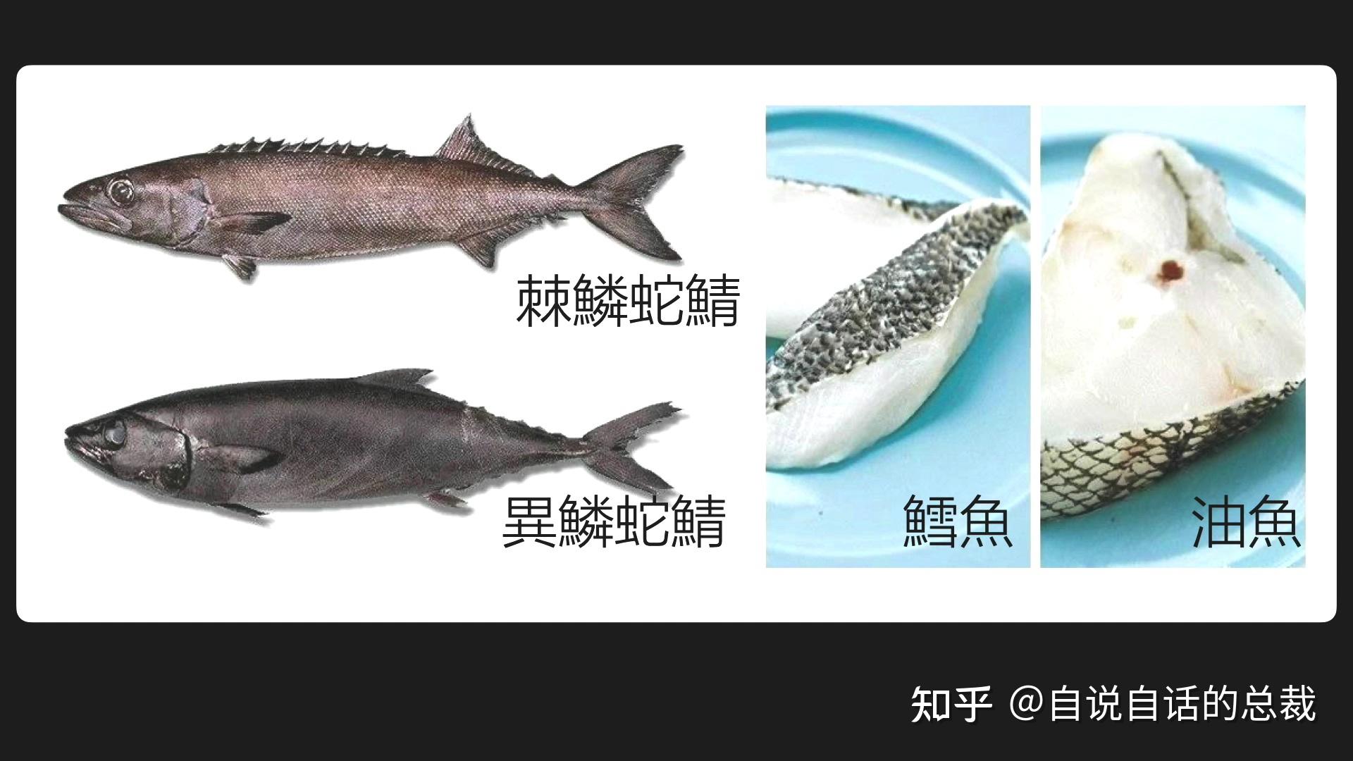 鳕鱼跟银鳕鱼区别图片图片