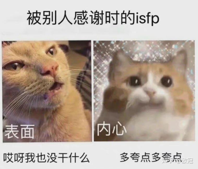 MBTI职业性格测试,工作中ISFP到底是怎样的人 - 知乎