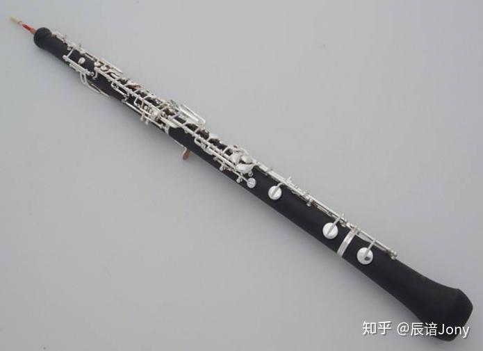 双簧管的音色像是带有鼻音似的芦片声,其善于表现徐缓如歌的曲调