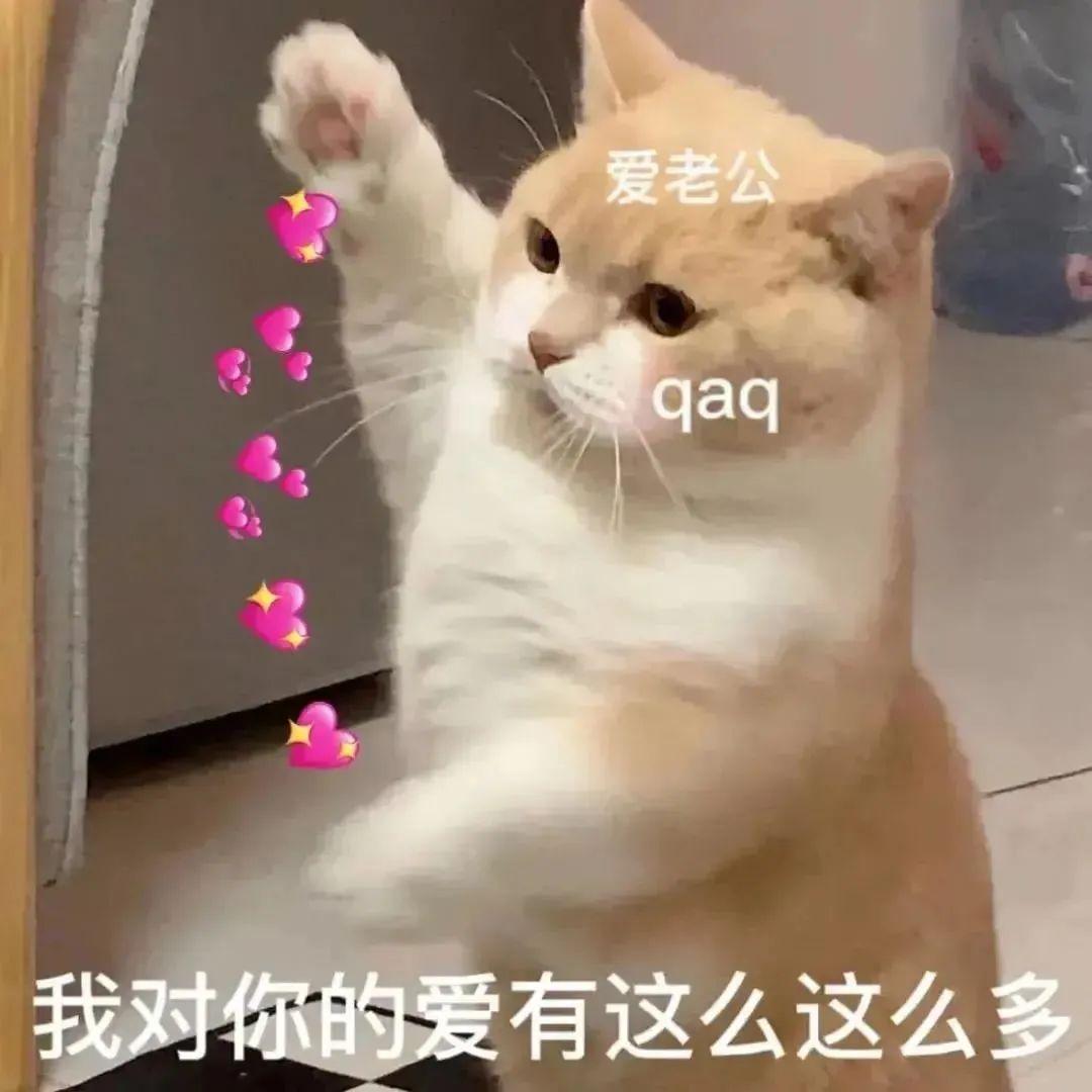 120张万能的表情包推荐-万能表情图片大全