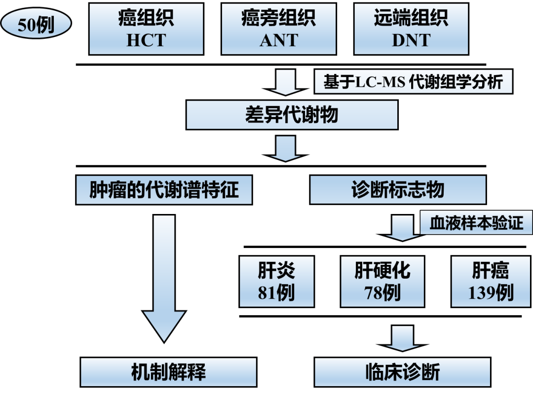 看完秒懂，代谢组学医药领域机制研究实验设计方案怎么做？ - 知乎