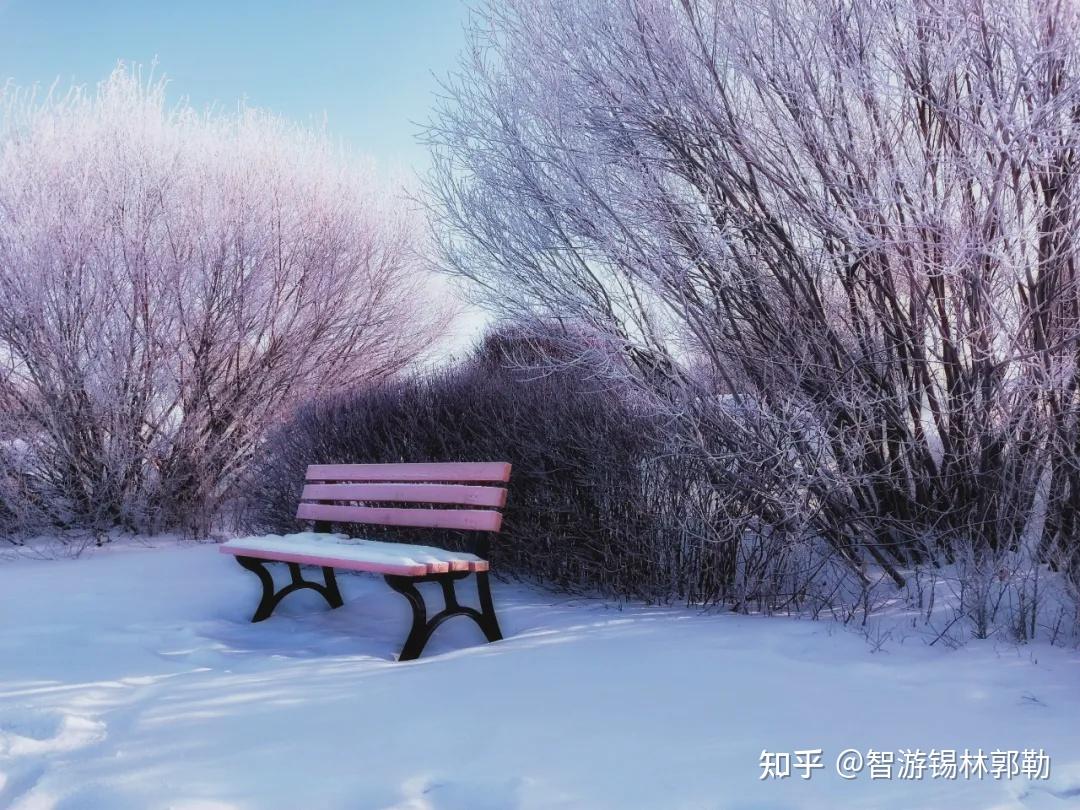 太旗美景太仆寺旗冬日雪景如诗如画