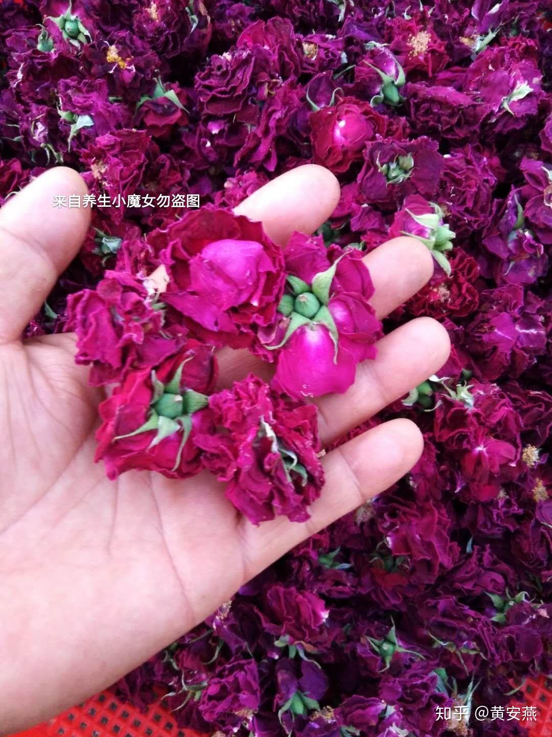 自家种植不苦涩的云南滇红食用玫瑰花做玫瑰酱最完美啦 - 知乎
