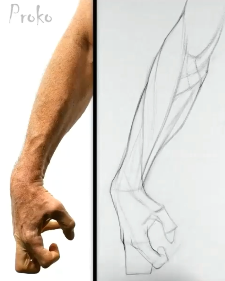 零基础小白怎么画手臂极画教育