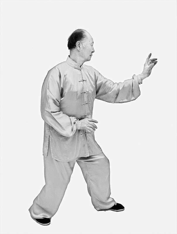 拳谱杂说与对争力